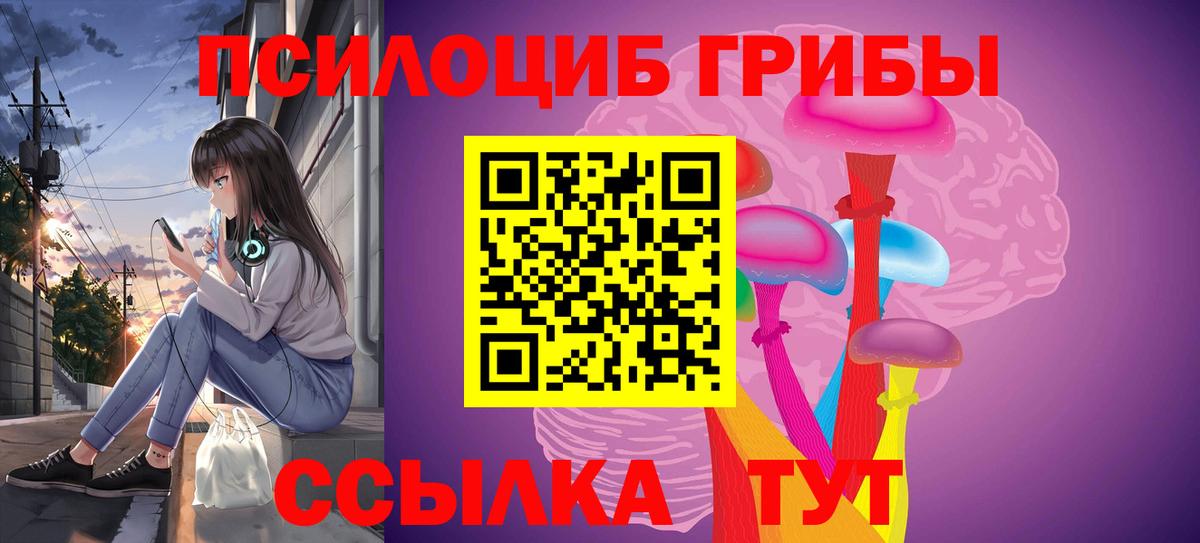 Славгород  Галлюциногенные грибы мицелий  Вход с VPN 
